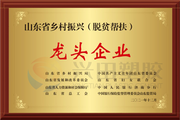 山東省2021年度省級(jí)鄉(xiāng)村振興(脫貧幫扶)龍頭企業(yè)